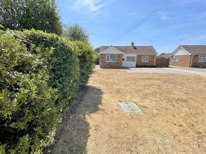Back Lane East- click for photo gallery